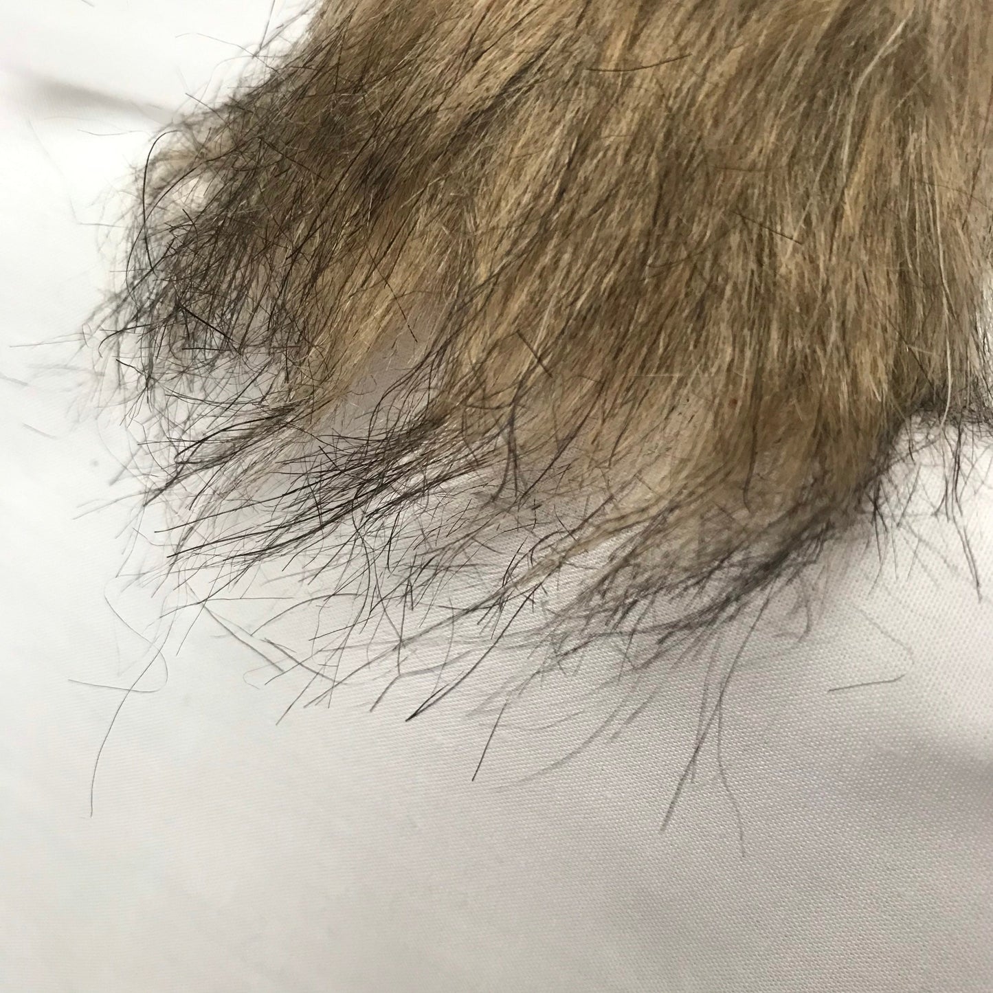 Small Christmas Gnome Decoration - Xmas Decoration, Christmas Decorations, Rustic Decor, Christmas Decor, Rustic Gnome, Cute Xmas Decor